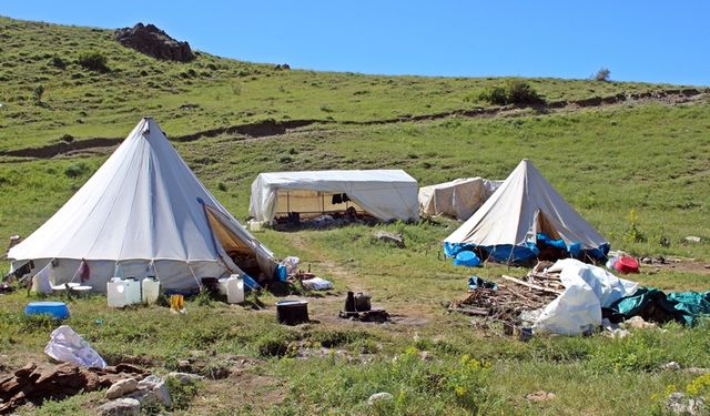 Göçerlerin yayla mesaisi başladı