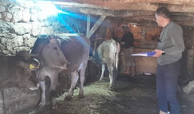 Yüksekova'da kimliklendirme ve aşılama çalışması