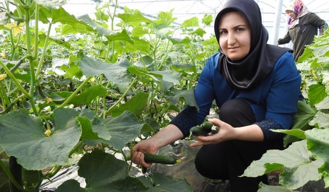 Kadınlar günlük 500 kilo ürün alıyor
