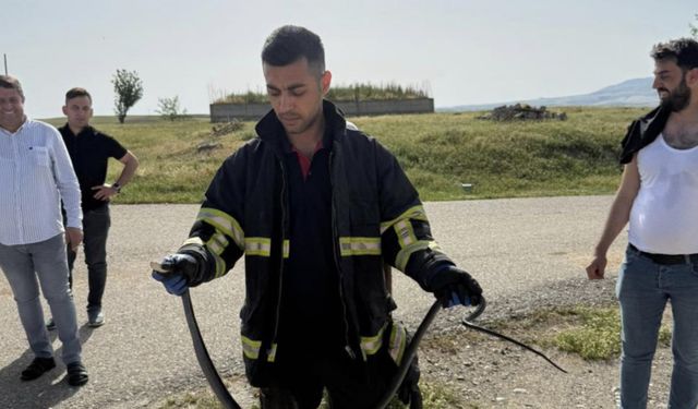 Tavan arasına giren yılan paniğe neden oldu