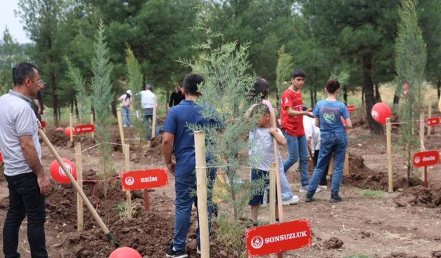 Koruyucu aile hatıra ormanı oluşturuldu
