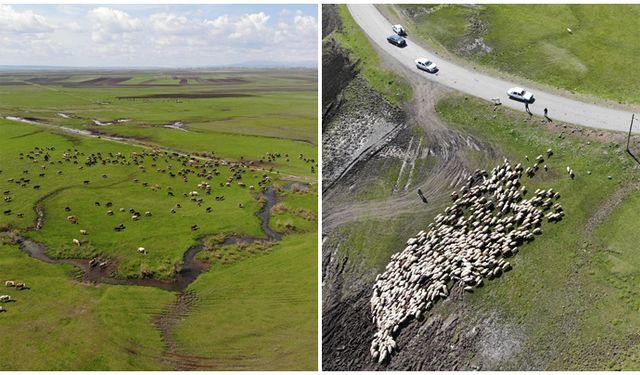 Kars'ta meralar şenlendi