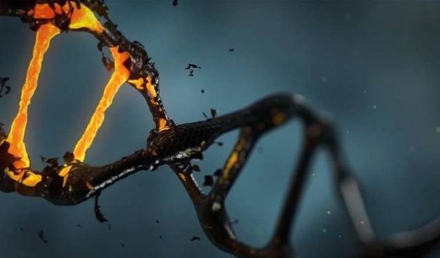 Genetik mutasyon uyku süresini kısaltıyor