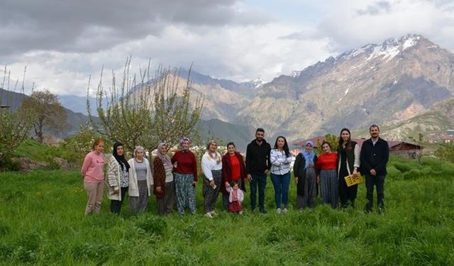 Kadın üreticilere safran yetiştiriciliği eğitimi