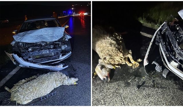 Şanlıurfa'da sürüye çarpan otomobilde 3 yaralı