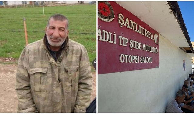 Şanlıurfa’da otomobilin çarptığı çoban öldü