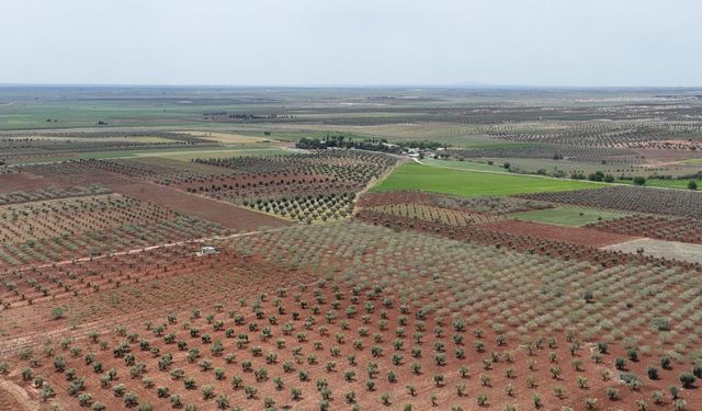 DSİ duyurdu, Diyarbakır Valiliği paylaştı
