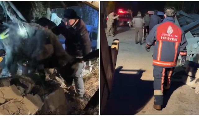 Yüksekova’da ahır çökmesi