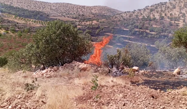 Mardin'de çıkan yangınlar, söndürüldü