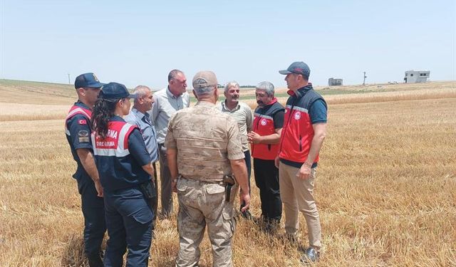 Diyarbakır'da zamanı geldi, ekipler sahaya indi