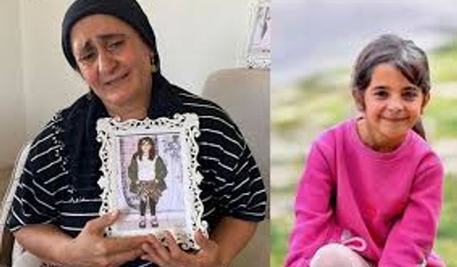 Diyarbakır'dan anne Güran için Yargıtay'a temyiz başvurusu