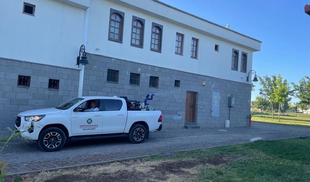 Diyarbakır'ın Sur ilçesi istilasıyla mücadele ediyor