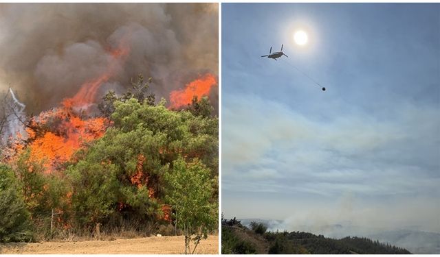 Adana'daki yangına 12 helikopter ve 2 uçakla havadan müdahale