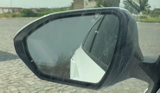 Diyarbakır’ın o ilçesi istila ile boğuşuyor