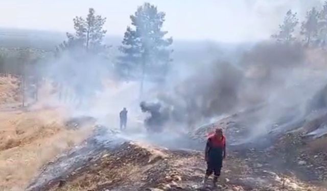Sigara izmaritleri yangınlara neden oldu