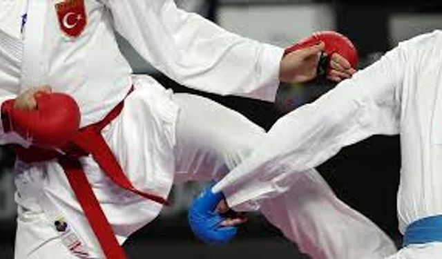 Çermik'te "Geleneksel Bölge Karate Turnuvası"