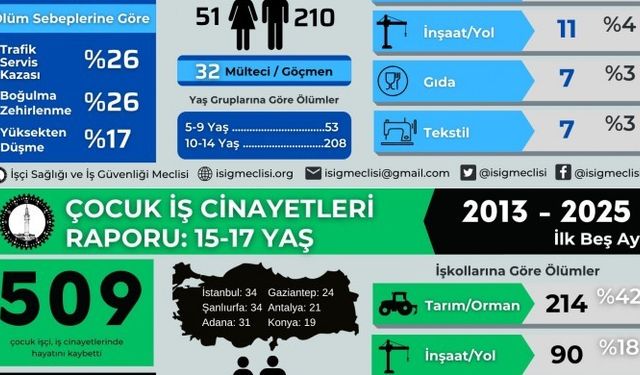 İSİG: 12 yılda en az 770 çocuk iş cinayetinde yaşamını yitirdi
