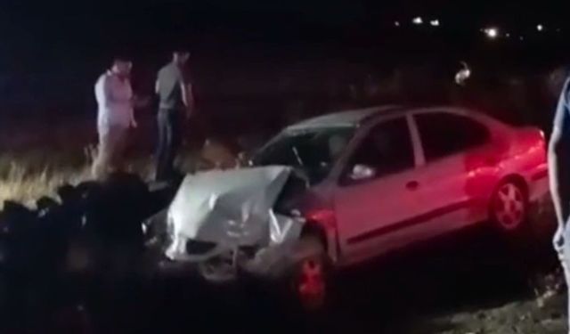 Şanlıurfa Siverek’te şarampole düşen otomobilde 2 yaralı