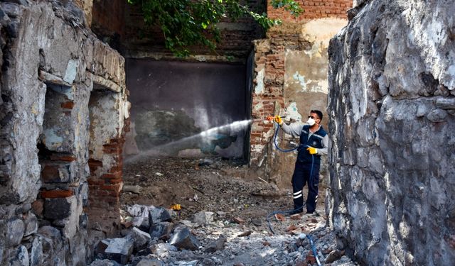 Diyarbakır Sur’daki metruk binalarda ilaçlama