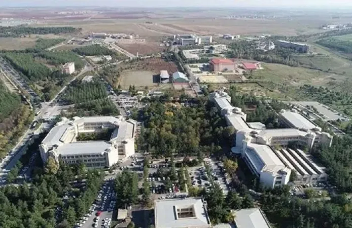 Diyarbakır'da 150 sanatçıyla konser