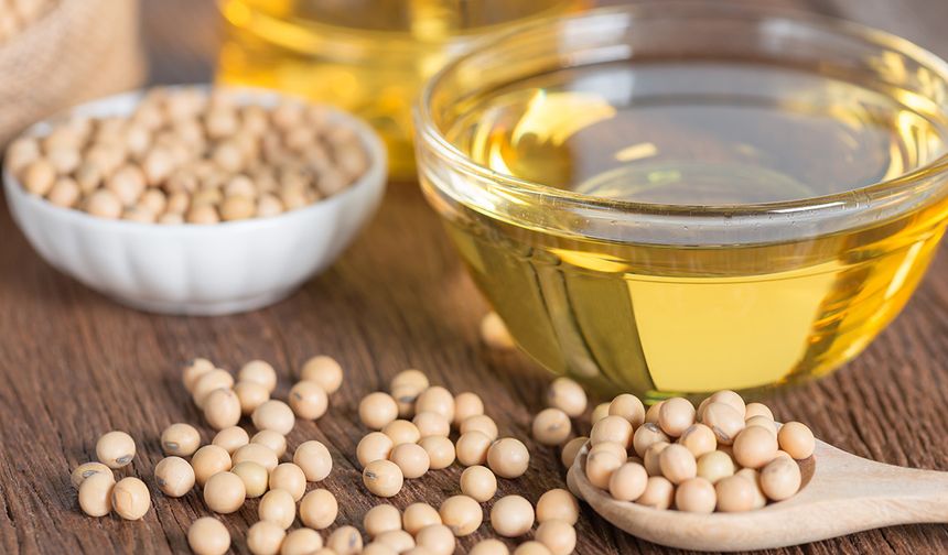 SOYA YAĞI
Soya yağı, kuru ve hasarlı saçlar için ideal bir nemlendiricidir. Soya yağı, E vitamini ve Omega yağ asitleri içerir.
Soya yağı, bu bileşenleri sayesinde saçları güçlü bir antioksidan olarak korur ve özellikle boyalı saçlarda renk koruması sağlar. Soya yağı ayrıca amino asitler, vitaminler ve mineraller içerir. Bu maddeler de saç tellerini güçlendirir ve saç dökülmesini önler.
Soya yağını biraz ısıtın ve bir fırça yardımıyla saç derinize ve saçınıza sürün.
Saçlarınızı bir bone ile kapatın ve 30 dakika ile 1 saat arasında bekleyin. Saçlarınızı normal şekilde yıkayın ve kurutun.