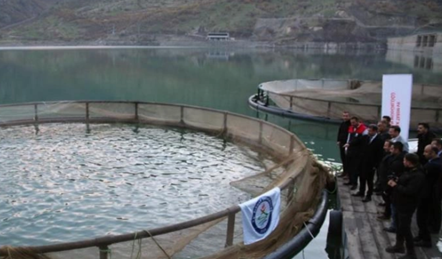 Baraj Gölü'ne 75 bin yavru bırakıldı