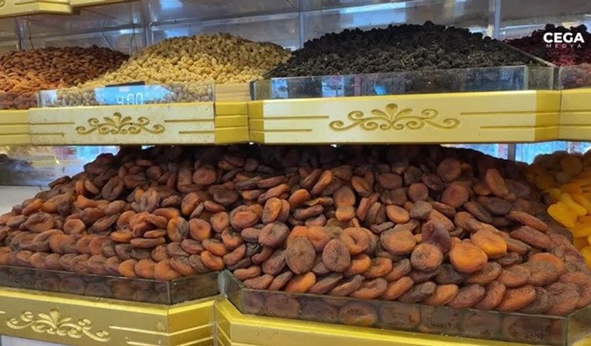 5 ayda 132 milyon dolarlık kayısı ihracatı