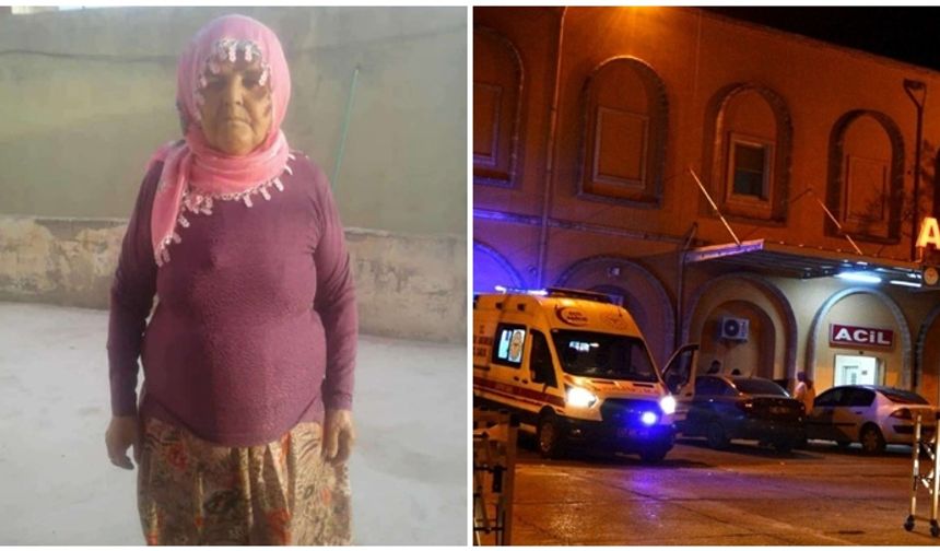 Mardin'deki kazada bir kadın yaşamını yitirdi