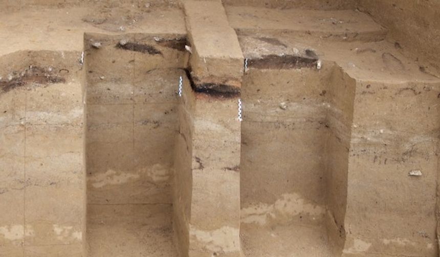 Buzul Çağı insanları ateşi ustaca kullanıyordu