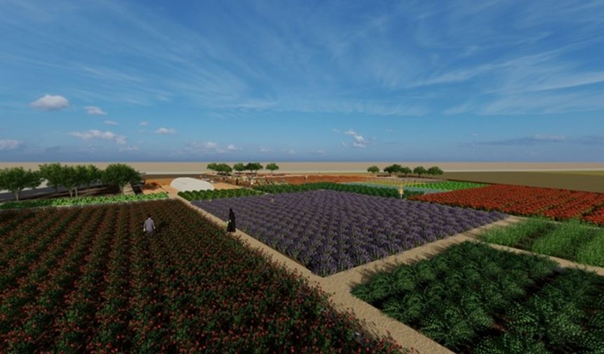 Diyarbakır Büyükşehir’den tıbbi, aromatik bahçe