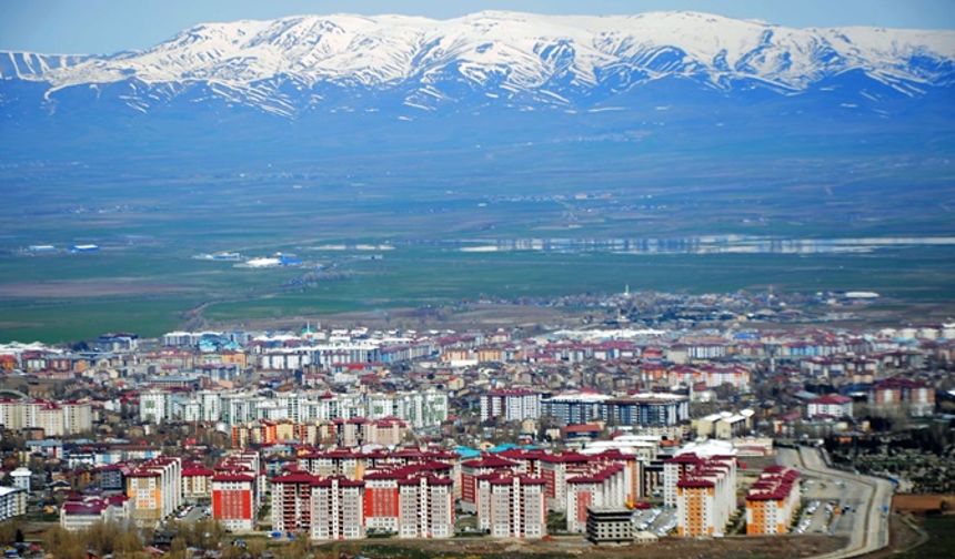 Ev sahibi uyurken hırsızlığa kalkıştı