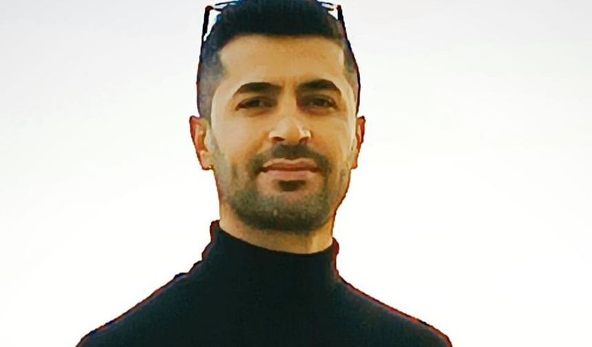 Sokak kedileri: Şehrin gerçek aristokratları
