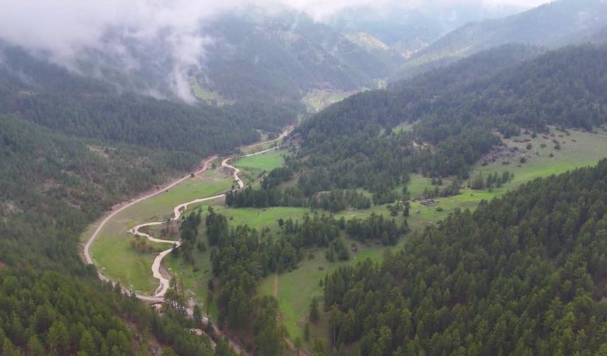 Geben Vadisi milli park ilan edildi