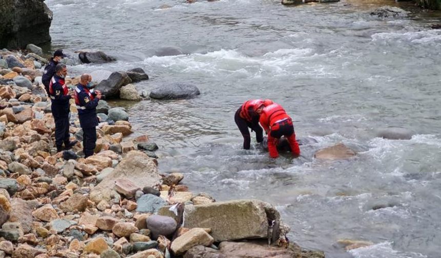 Dereye düşen kamyonetin sürücüsü hayatını kaybetti