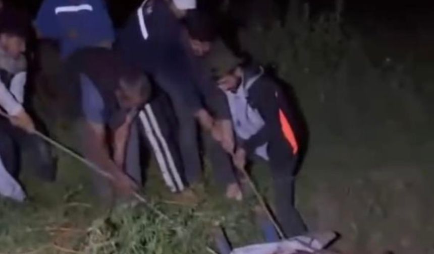 Çukura düşen ineği köylüler kurtardı