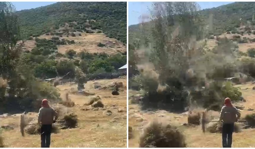 Bingöl’de hortum otları uçurdu