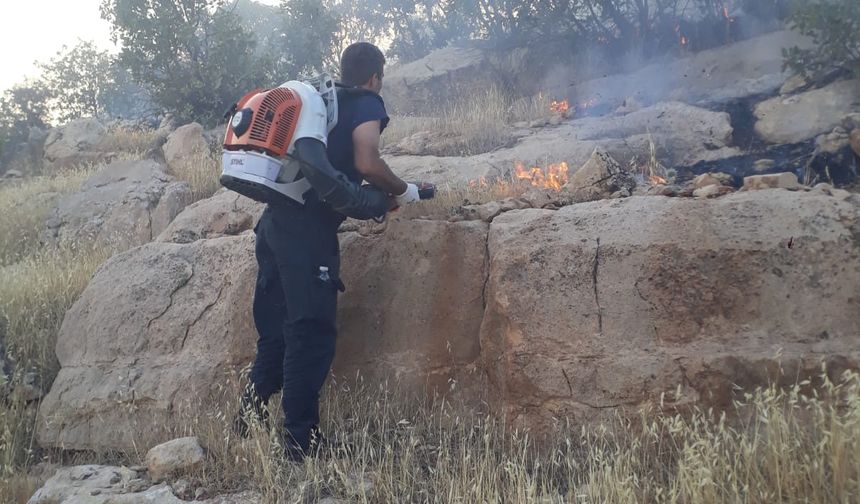 Mardin'de örtü yangını
