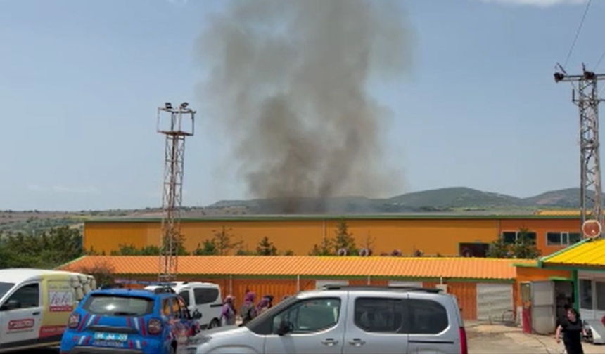 Tavuk çiftliğinde çıkan yangın söndürüldü